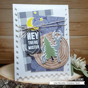 hey there mister card with wild about you stamps