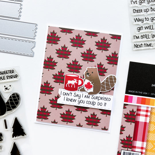 Just Right Duos Sentiments Stamp Set