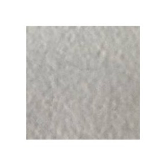 Polished Silver Embossing Powder by WOW