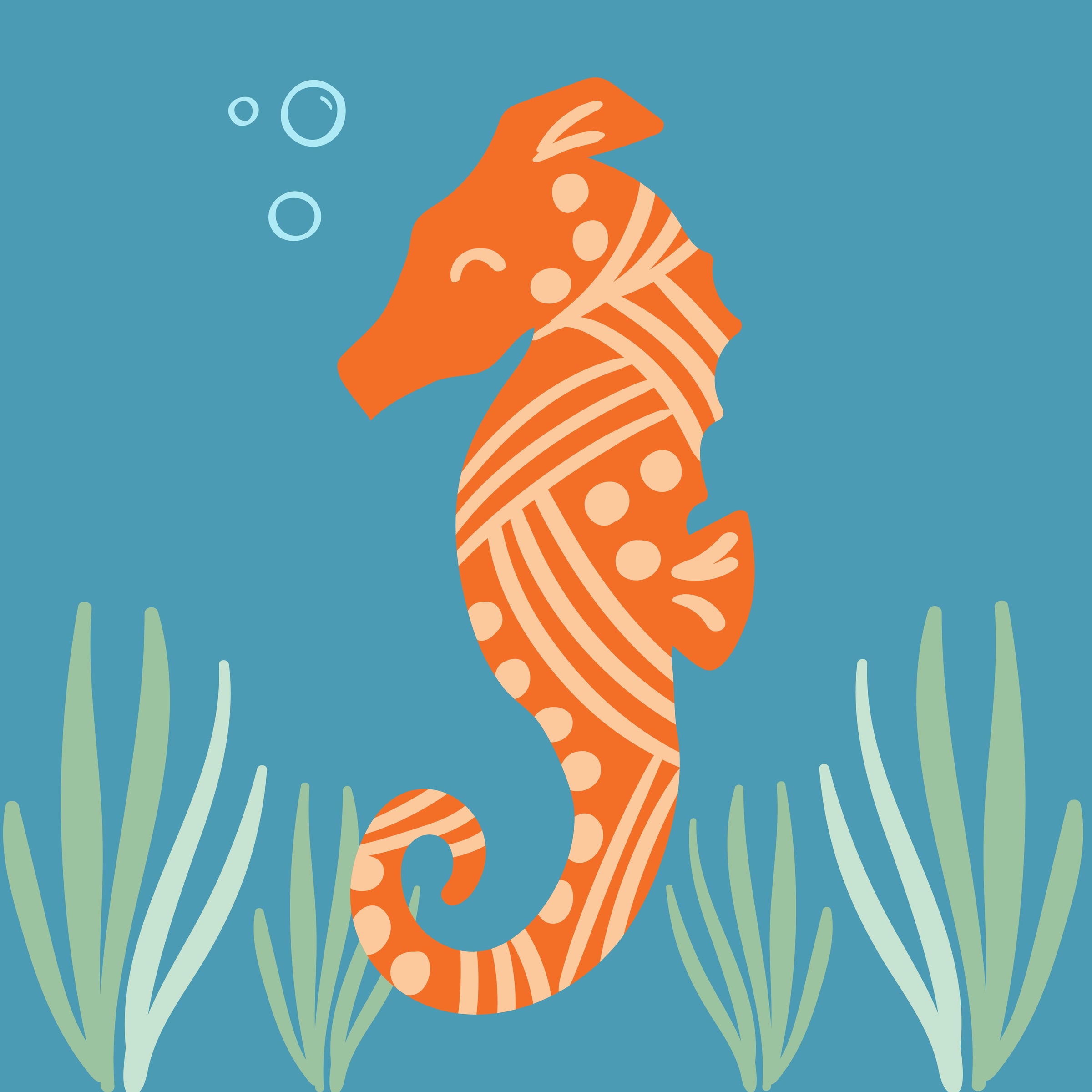 Ocean Wonders