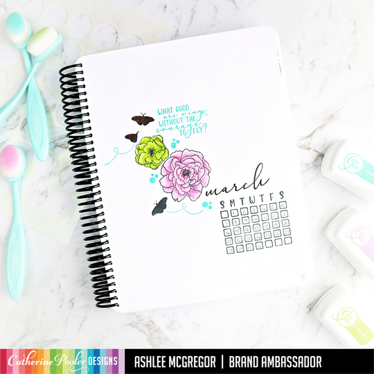 March Habits and Just Soar Canvo Page