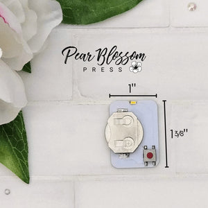 One Light 2pack by Pear Blossom