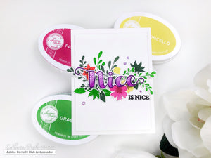 Nice is Nice Stamp Set