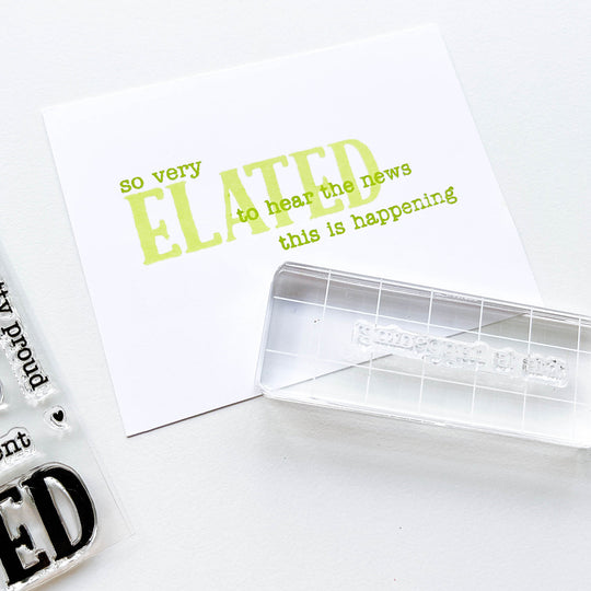 So Very Elated Sentiments Stamp Set