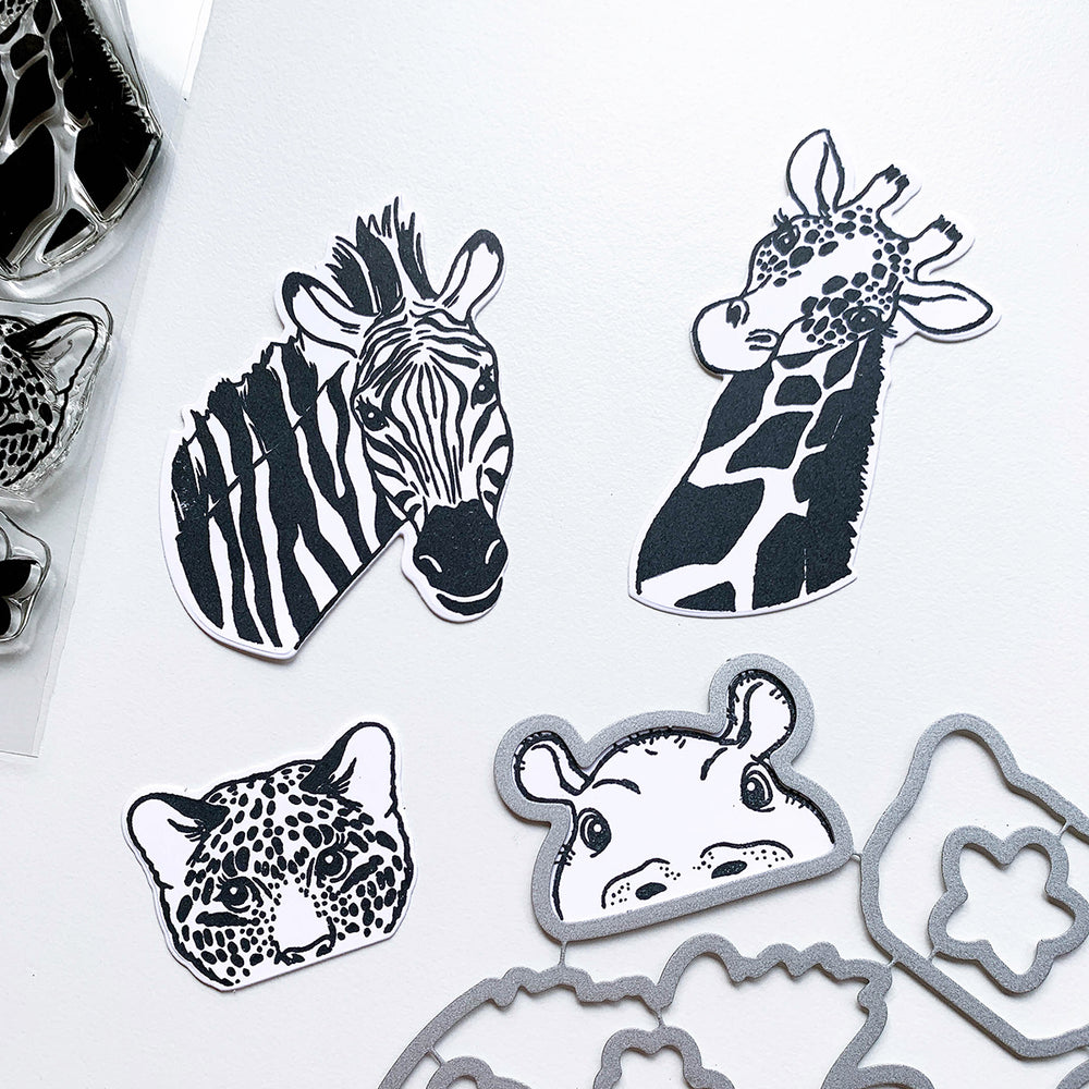 Take a Peek Dies samples