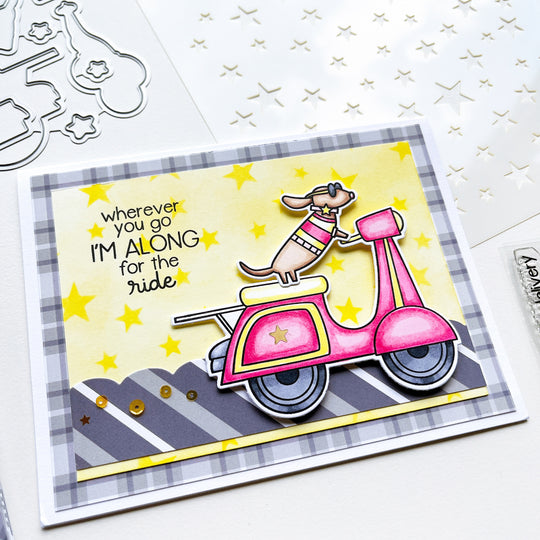 Simple Accents Bundle