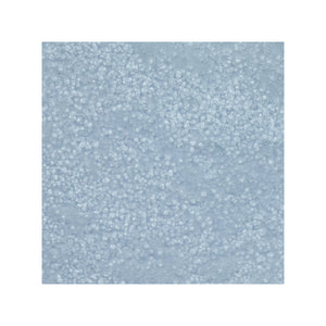 Frosted Glass Embossing Glitter by WOW
