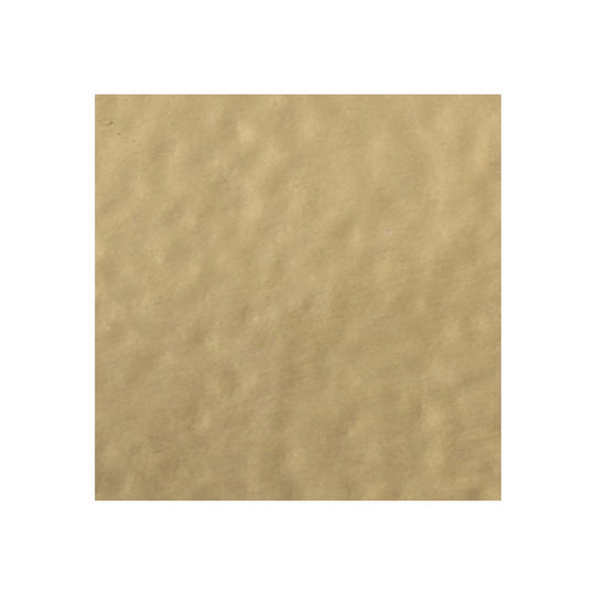 Polished Gold Embossing Powder by WOW